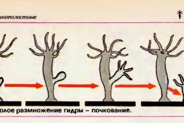 Где найти рабочую ссылку кракен